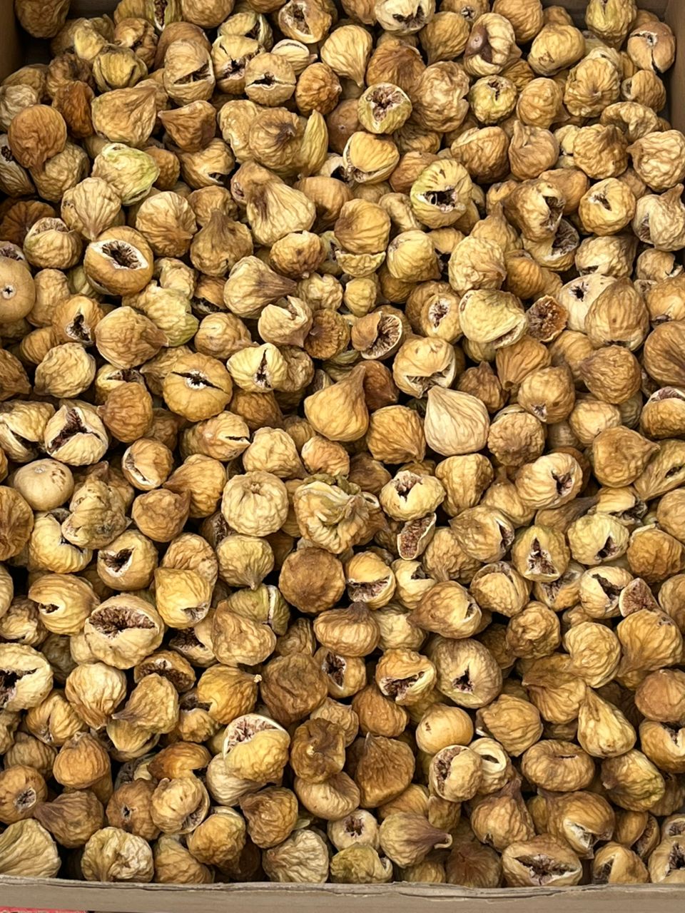 خرید انجیر خشک استهبان
