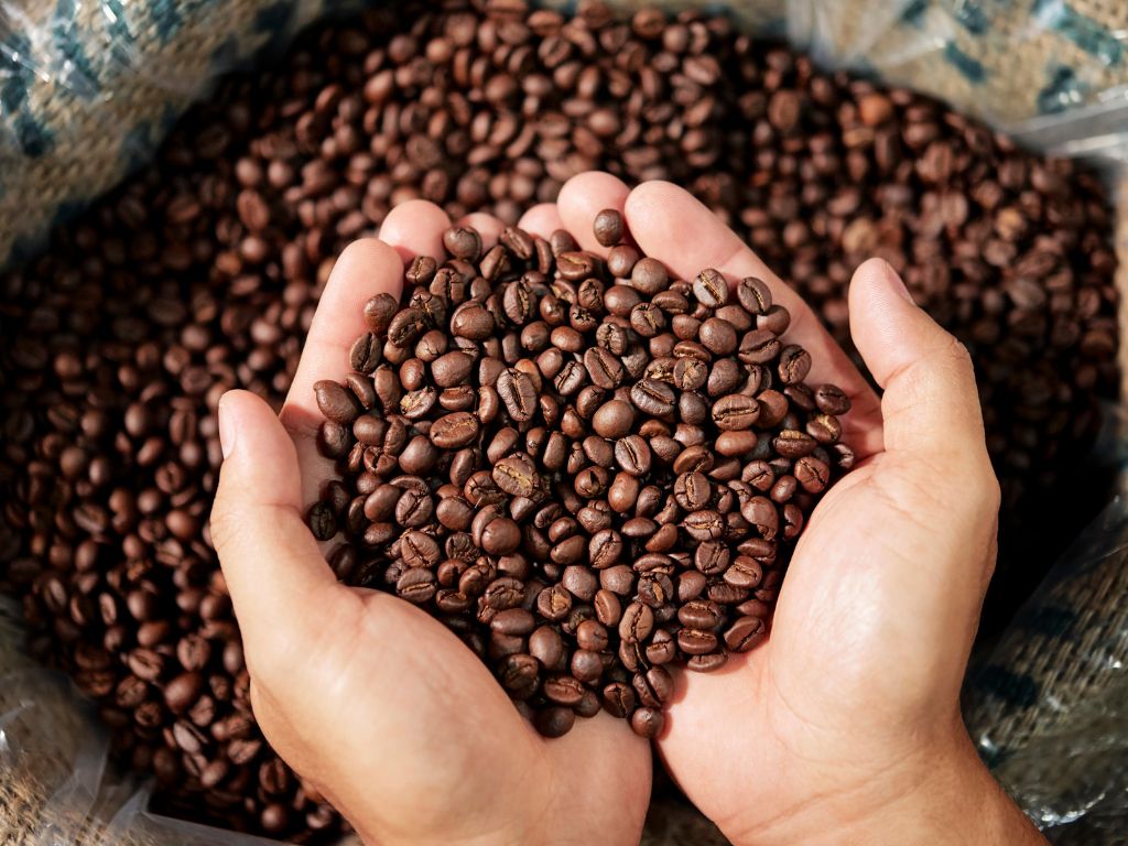 فروش دانه قهوه عمده ويتنام + قیمت