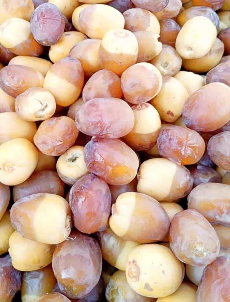 خرید و فروش رطب خرما برحی کارون