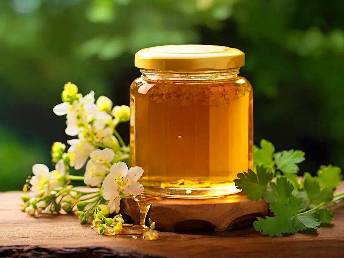 قیمت عسل گشنیز اعلا شیشه 2 کیلویی + فروش عمده
