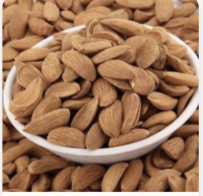 انواع بادام درختی عمده دانه درشت اعلا
