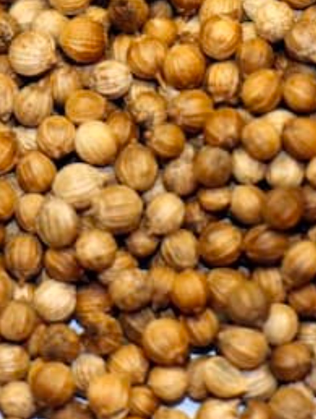 گشنیز سرند شده پاک فروش یک جا