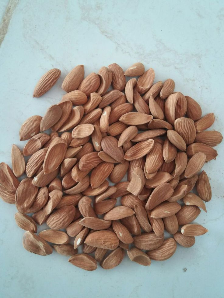 مغز بادام درختی + قیمت عمده