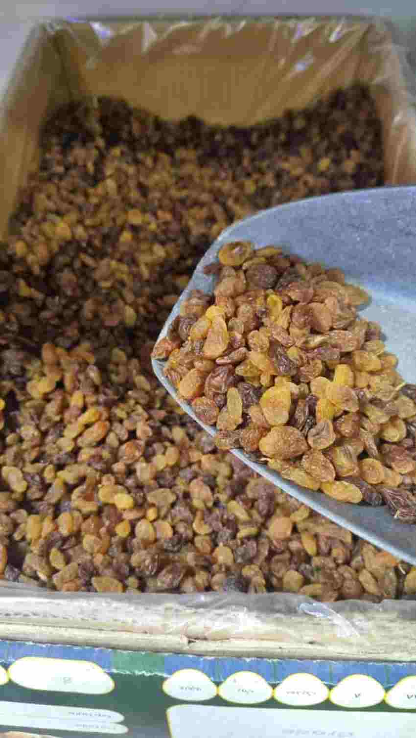 قیمت خرید کشمش پلویی + عمده به صرفه و ارزان