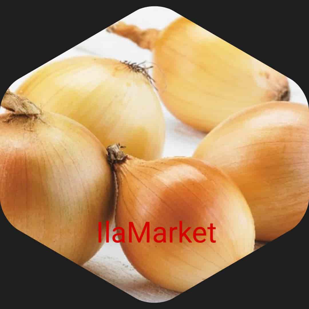 قیمت پیاز زرد در تره بار با کیفیت ارزان + خرید عمده