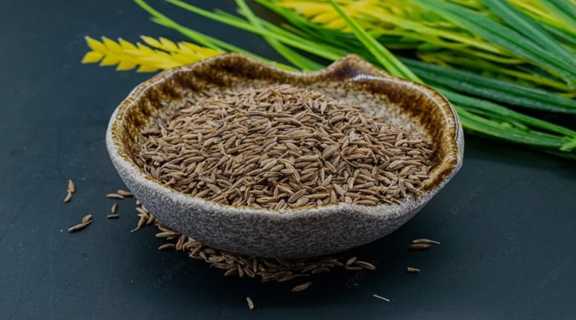 زیره افغانی ویژه مصرف دارویی + خرید عمده