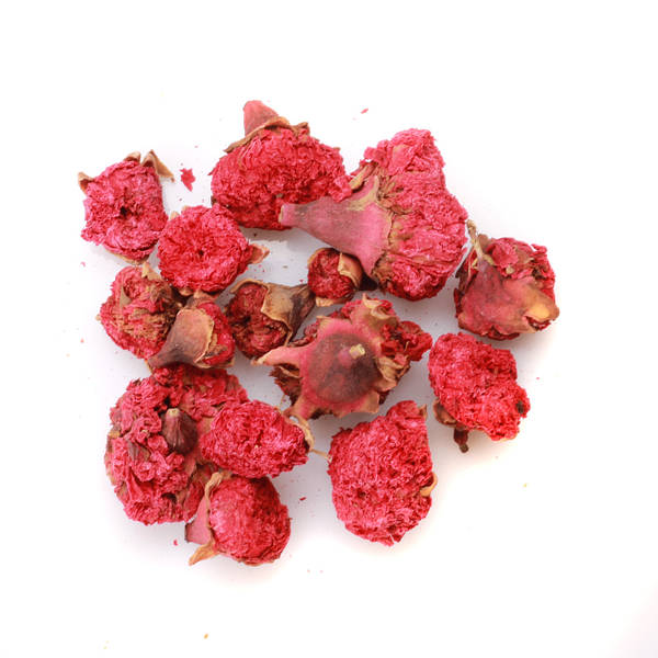 خرید گلنار فارسی + قیمت عمده