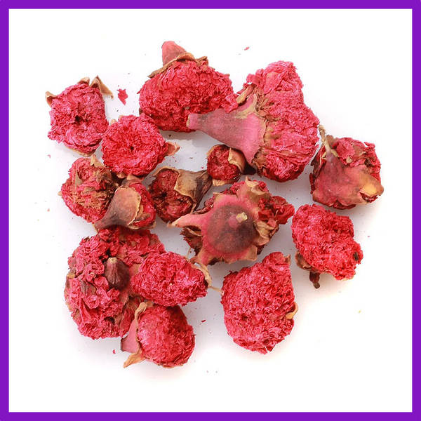 خرید عمده گلنار فارسی