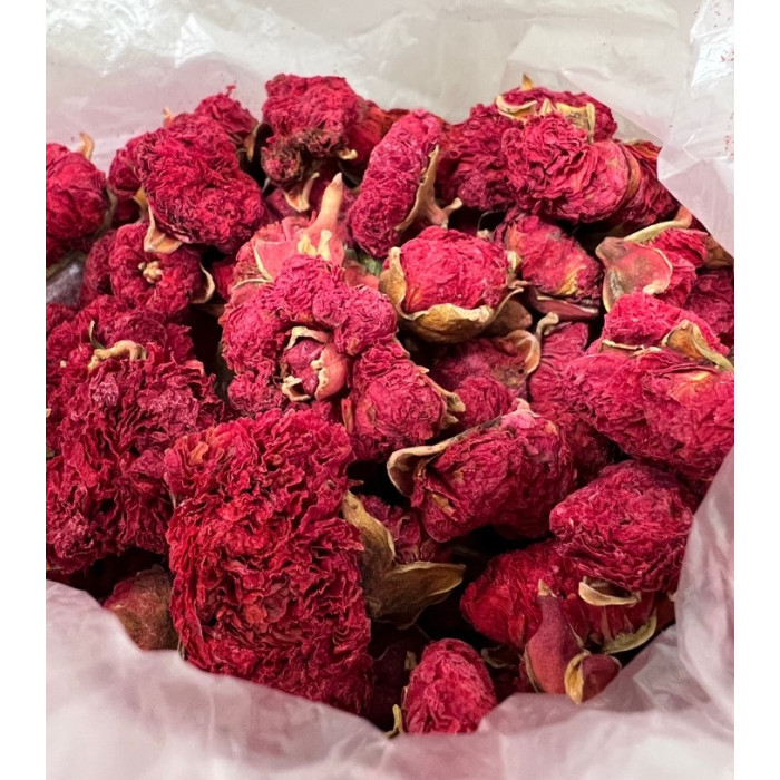 فروش عمده گلنار فارسی