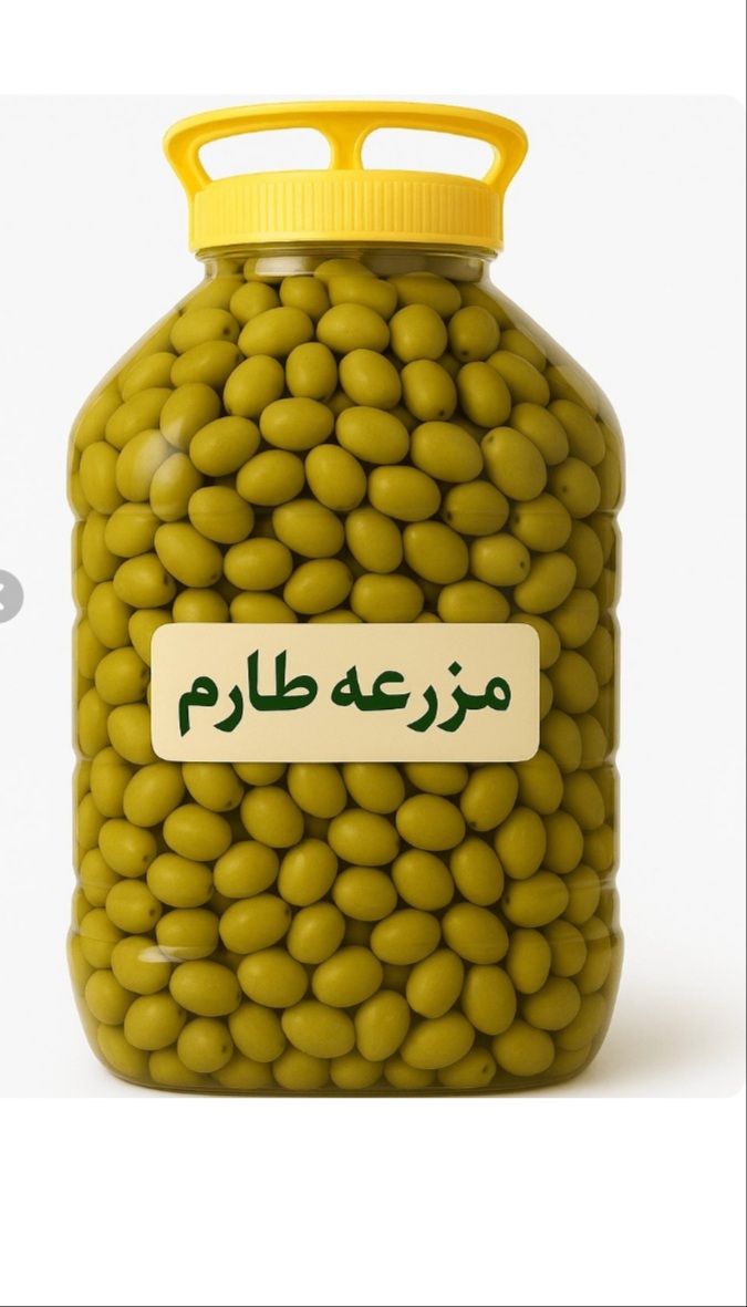 خرید زیتون شور طارم