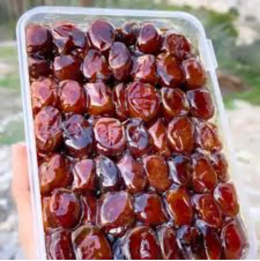 فروش خرما برحی خوزستان + قیمت خرید ویژه