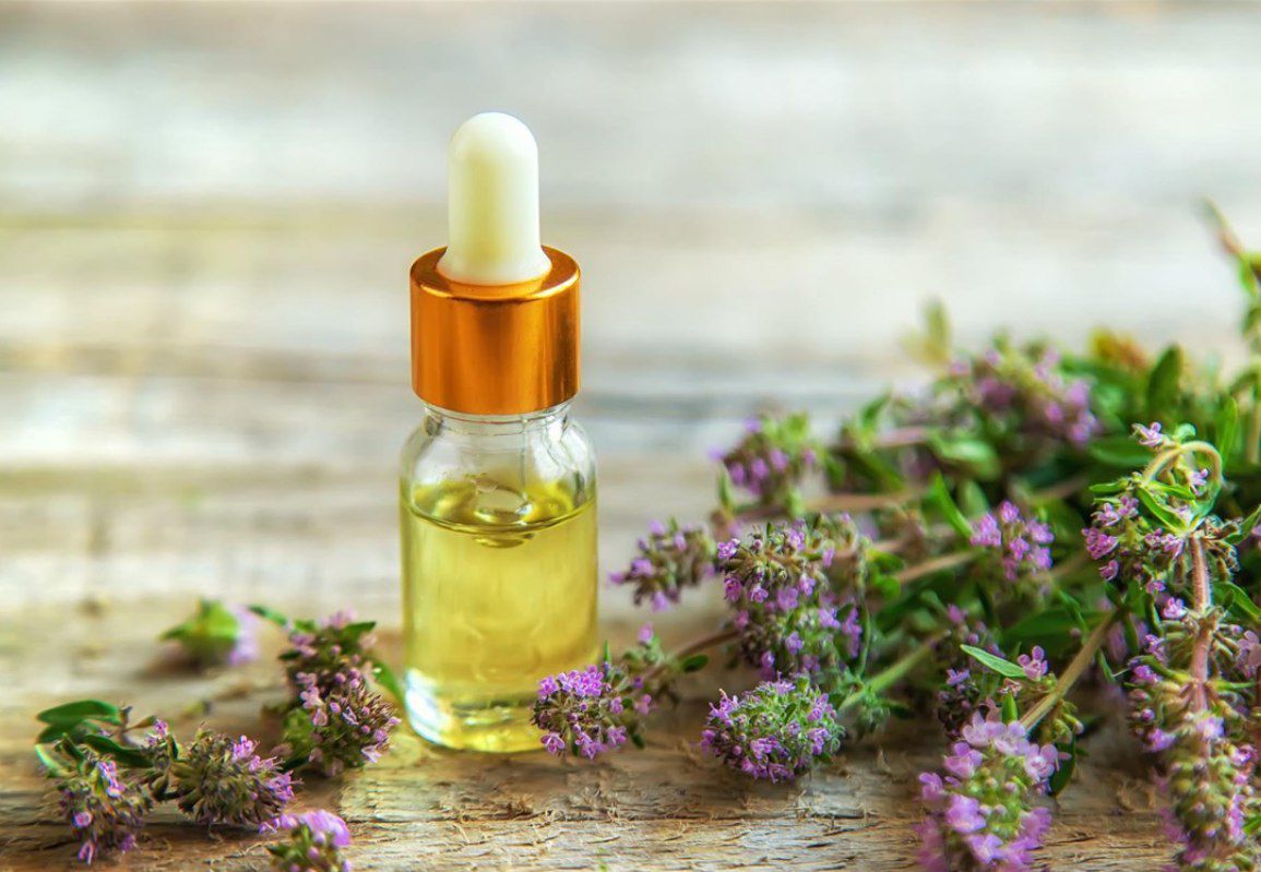 فروش عمده آویشن کوهی خشک‌شده با کیفیت ممتاز و قیمت روز