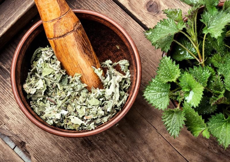 گزنه خشک مرغوب با قیمت استثنایی + خواص درمانی اثبات شده برای کم خونی و پوست
