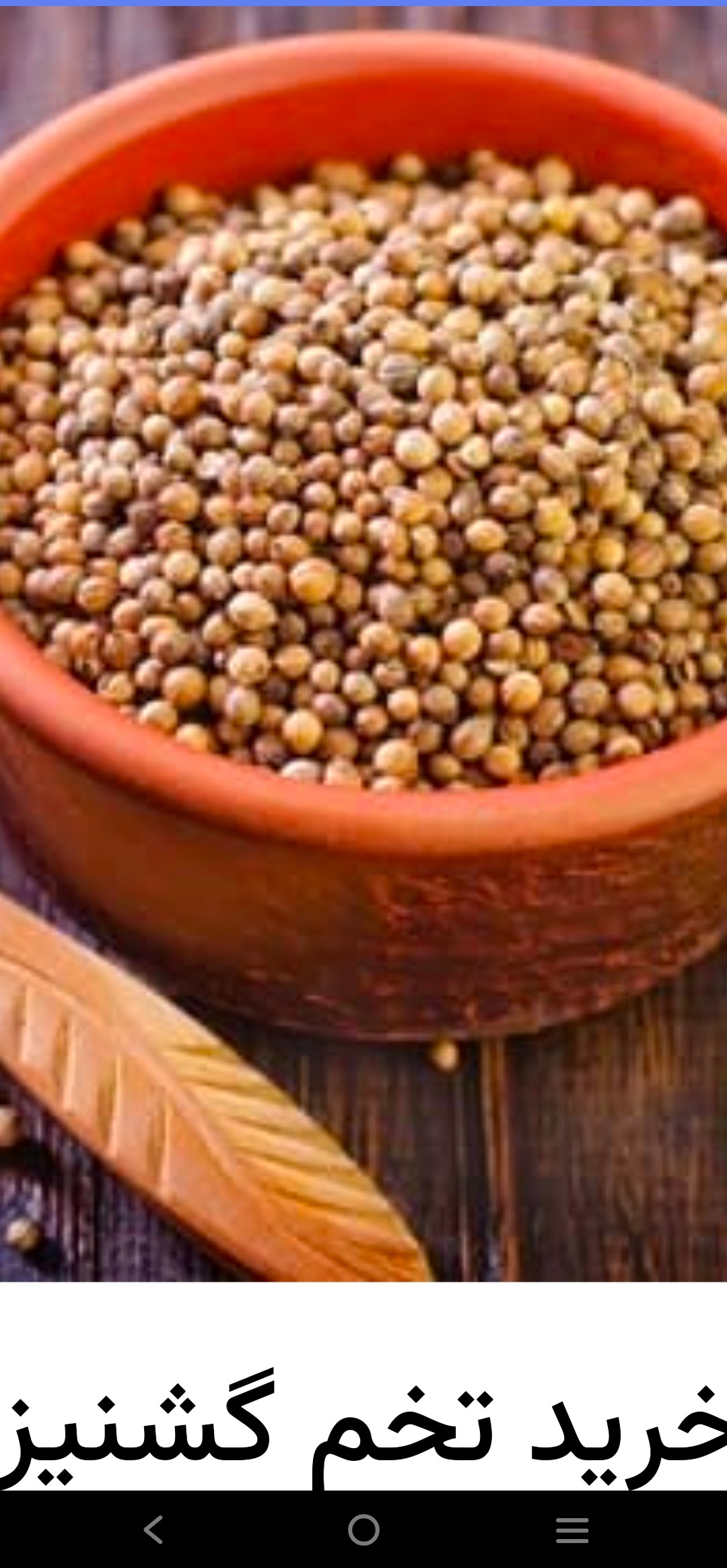 سفارش آنلاین تخم گشنیز + قیمت رقابتی خرید کنید