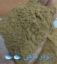 خرید به صرفه پودر ماهی چابهار