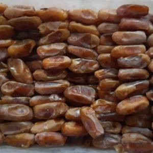 خرید عمده خرما شاهانی + ارسال فوری