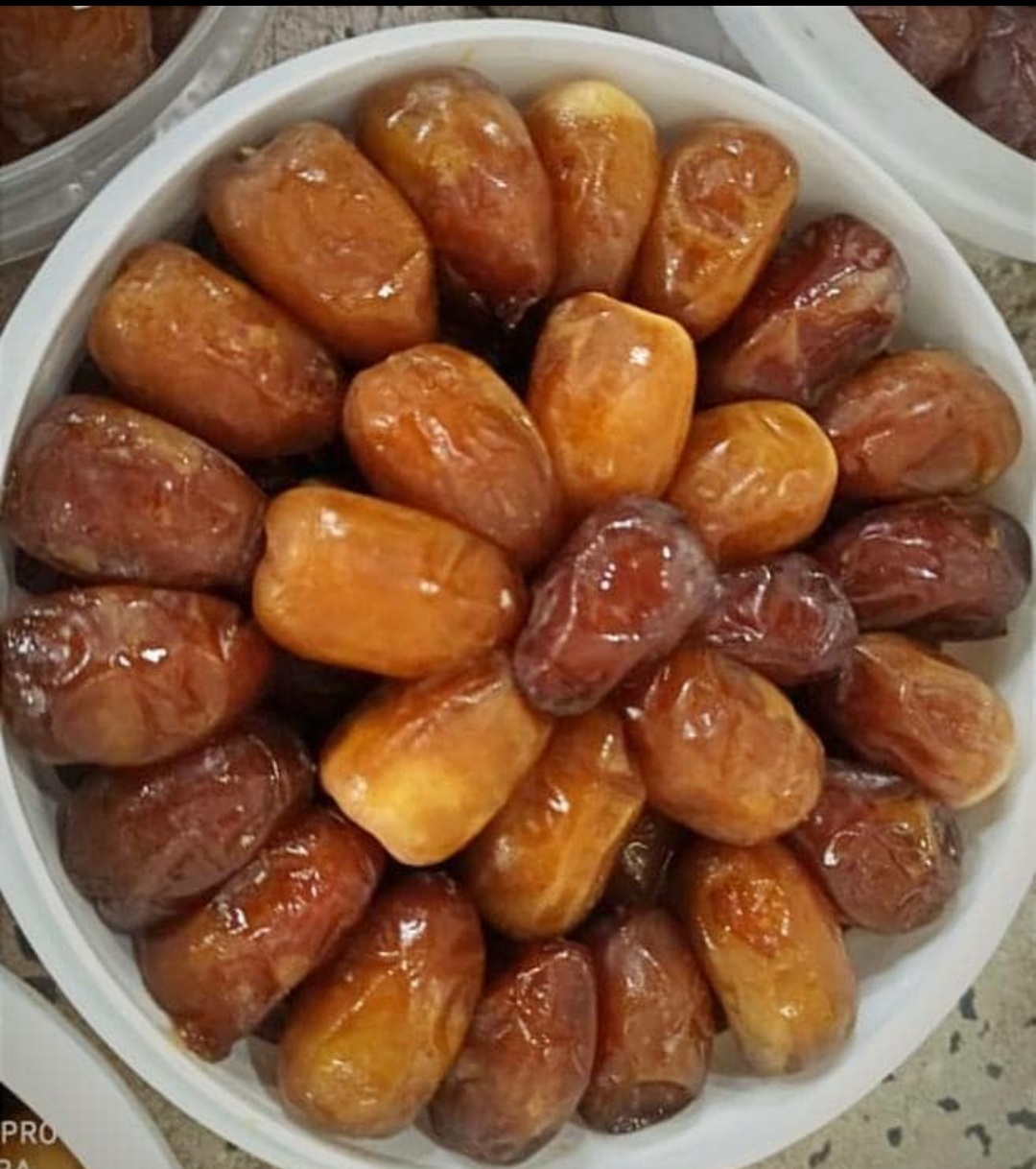 فروش ویژه رطب کبکاب
