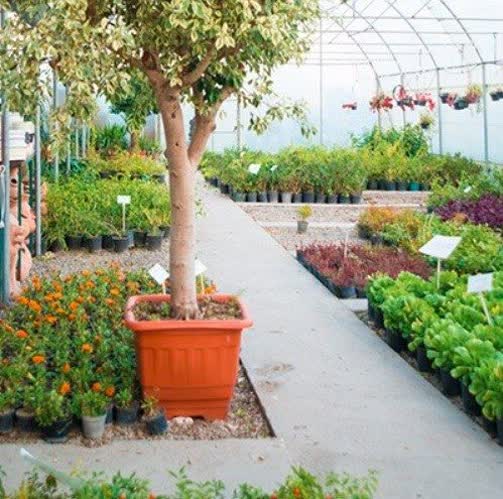 فروش گلدان پلاستیکی جعبه‌ ای 50 × 50 قیمت خرید به‌ صرفه