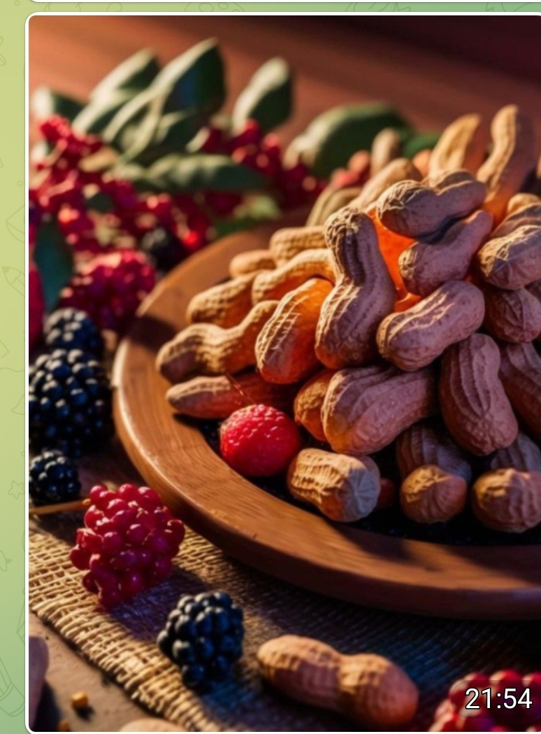 بادام زمینی استانه اشرفیه
