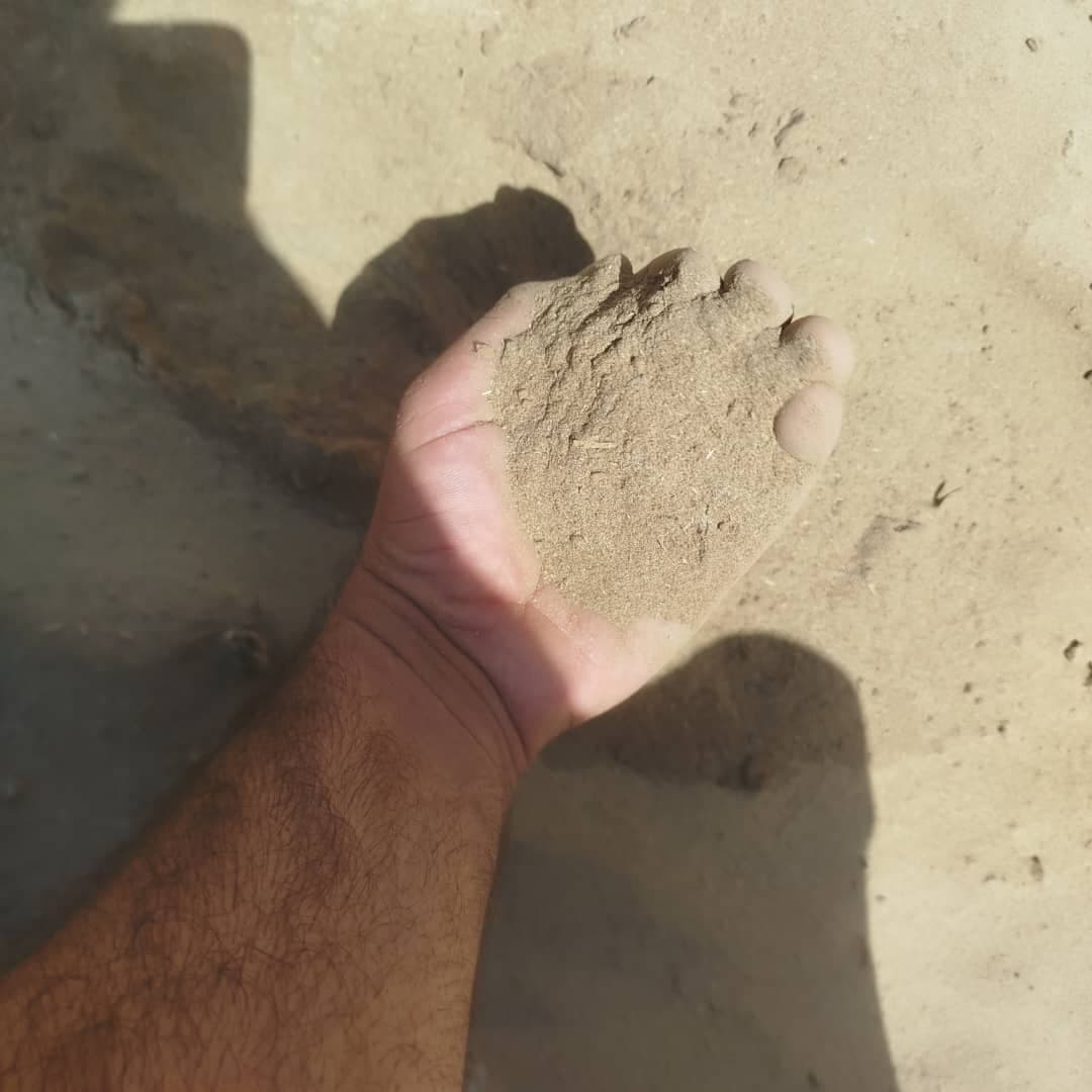 خرید خاک اره چوب بسیار نرم