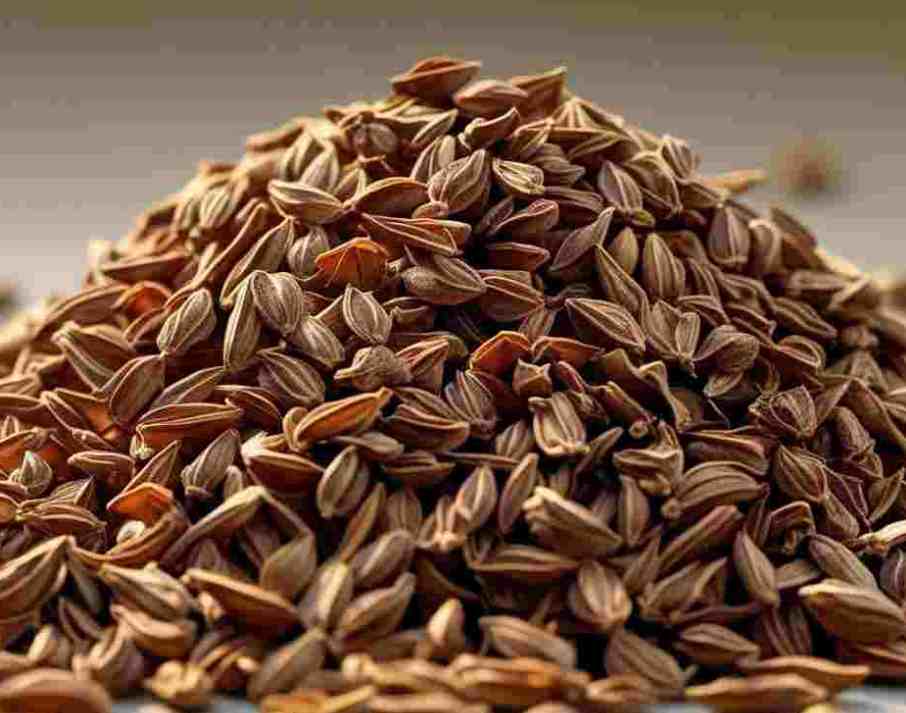 زیره سبز صادراتی سبزوار عمده