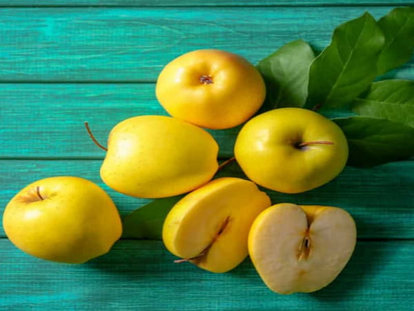 قیمت و فروش سیب زرد ارگانیگ ممتاز اصفهان + کیفیت تابستان