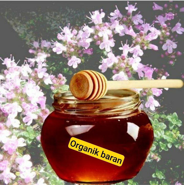 فروش عسل گشنیز خوش عطر عمده