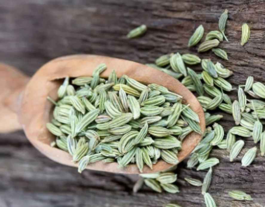 قیمت رقابتی زیره سبز صادراتی درجه یک ارسال سریع