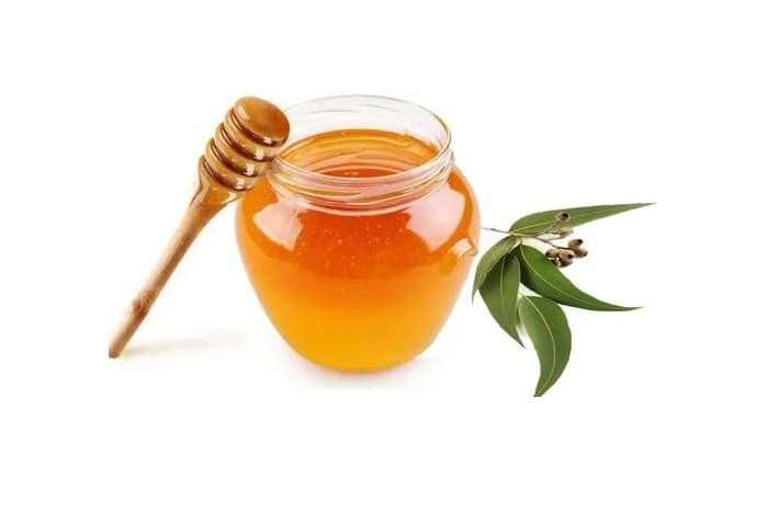 عسل مرغوب اکالیپتوس شیشه 650 گرمی + فروش عمده