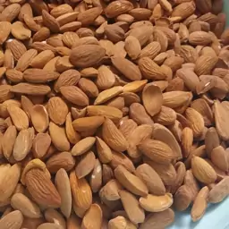 خرید مغز بادام سنگی + فروش استثنایی