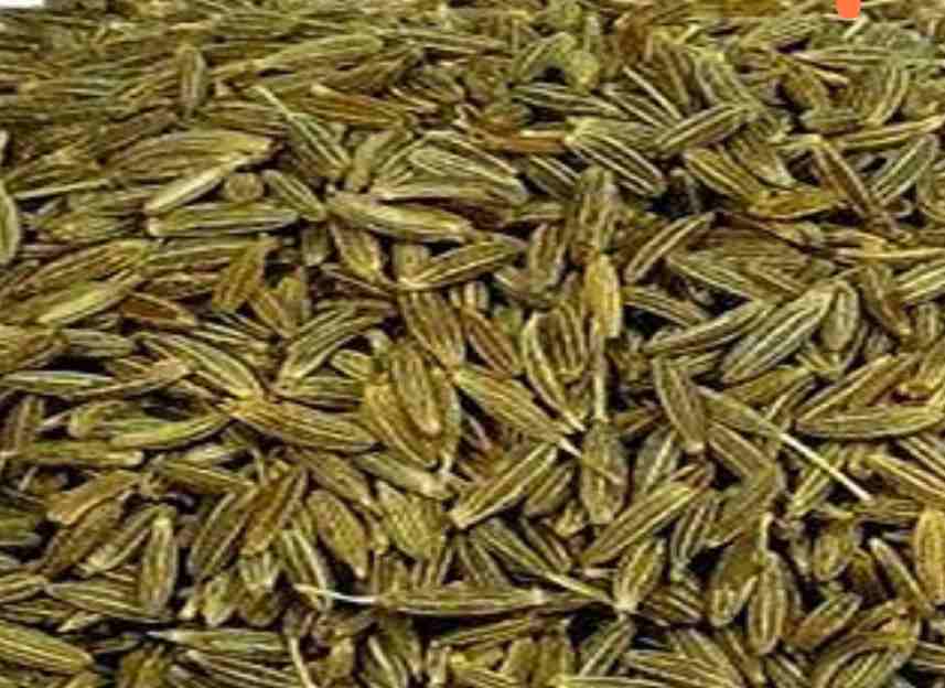 قیمت امروز زیره سبز صادراتی سبزوار