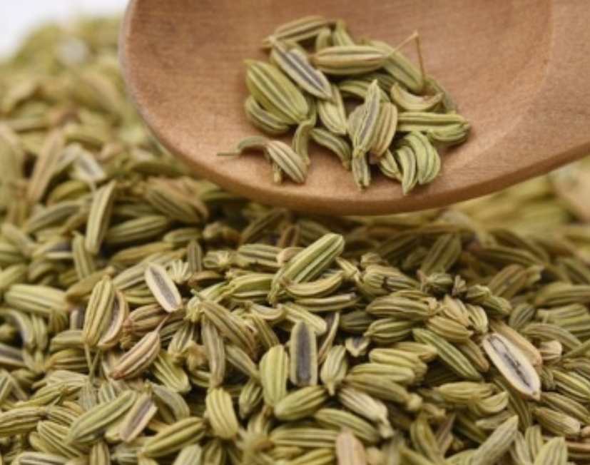 بهترین شرایط خرید زیره سبز صادراتی سبزوار