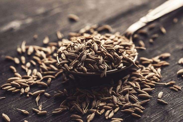 خرید اینترنتی زیره سیاه + تضمین قیمت