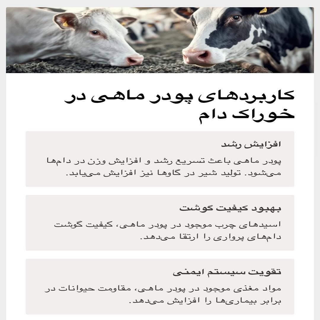 خرید پودر ماهی صنعتی دام و مرغداری