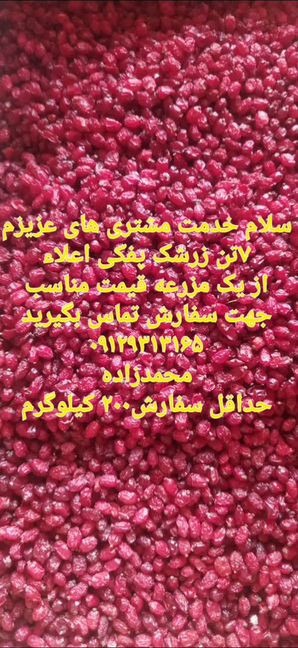 زرشک زیر تالاری + قیمت عمده