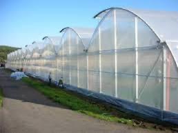 راهنمای خرید نایلون گلخانه + کیفیت عالی