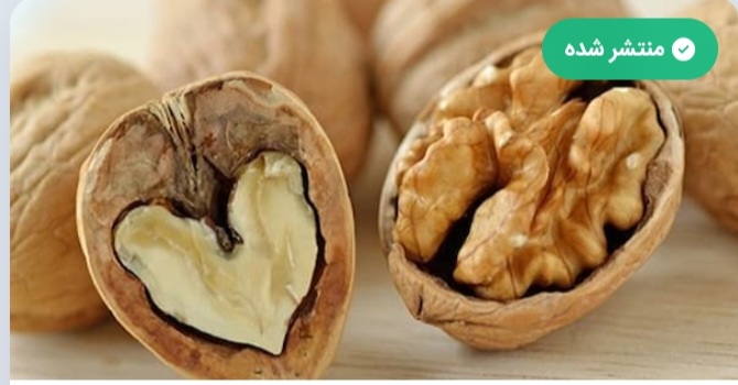 خرید و فروش گردوی درختی به صورت عمده