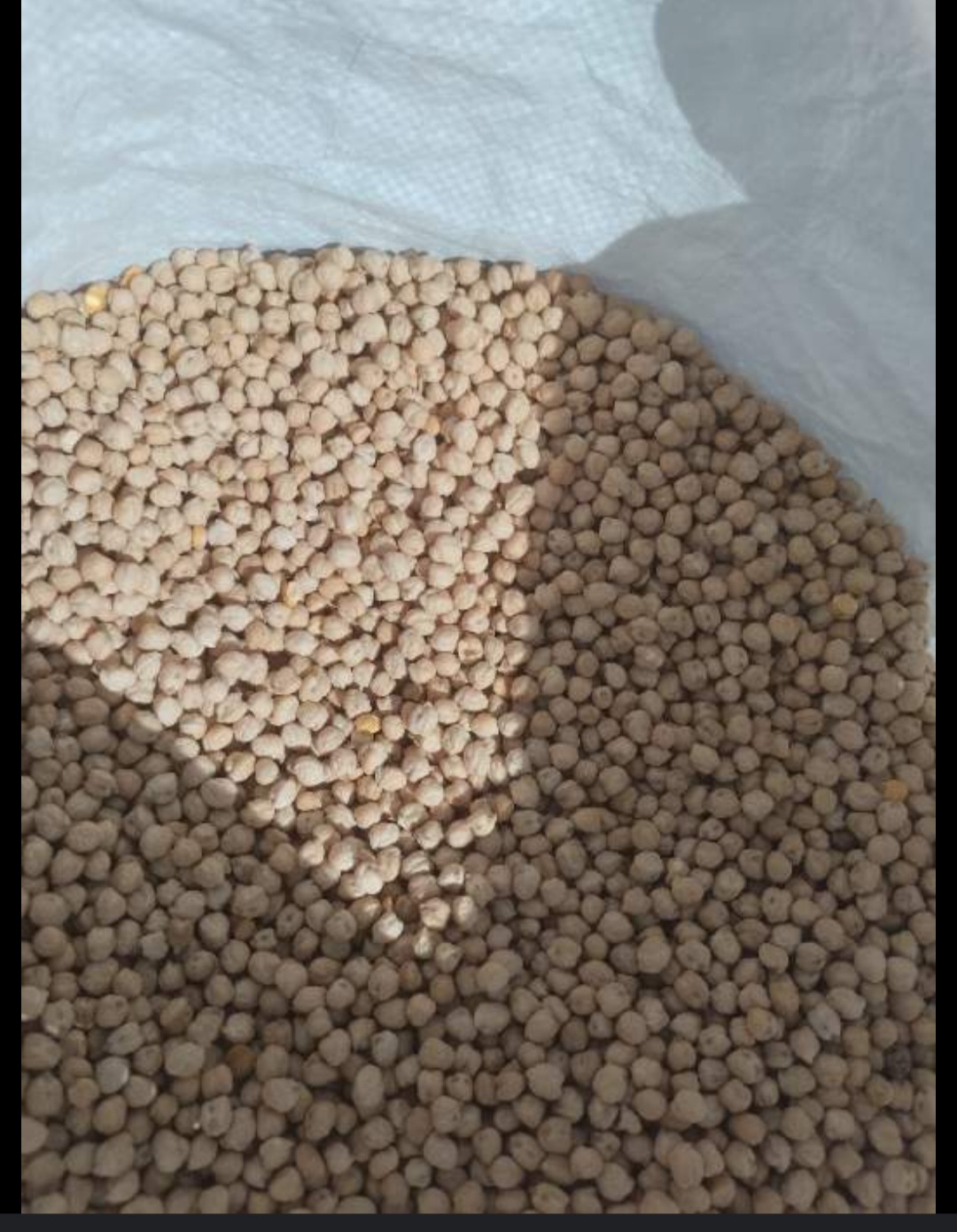 نخود ارگانیک لرستان و کرمانشاه