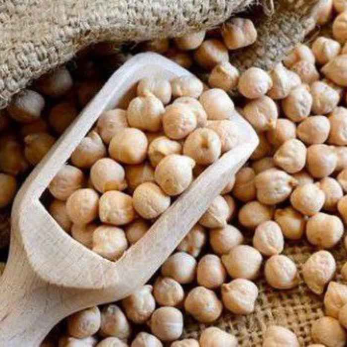 تصویر 3 از فروش نخود دیم پایه بلند قیمت خرید به صرفه