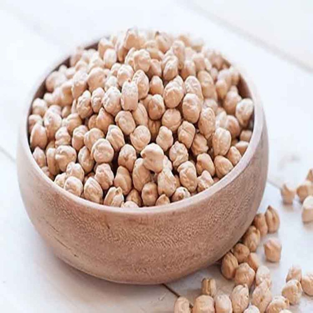 تصویر 1 از فروش نخود دیم پایه بلند قیمت خرید به صرفه