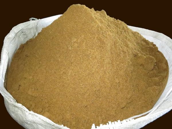 خرید به صرفه پودر ماهی تن چابهار