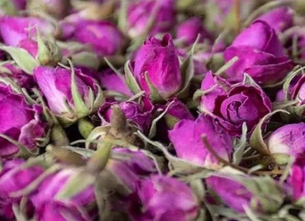 قیمت غنچه گل محمدی خشک در بازار های صادراتی + کیفیت عالی