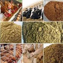 خرید پودر ماهی بلوچستان به صرفه و ارزان