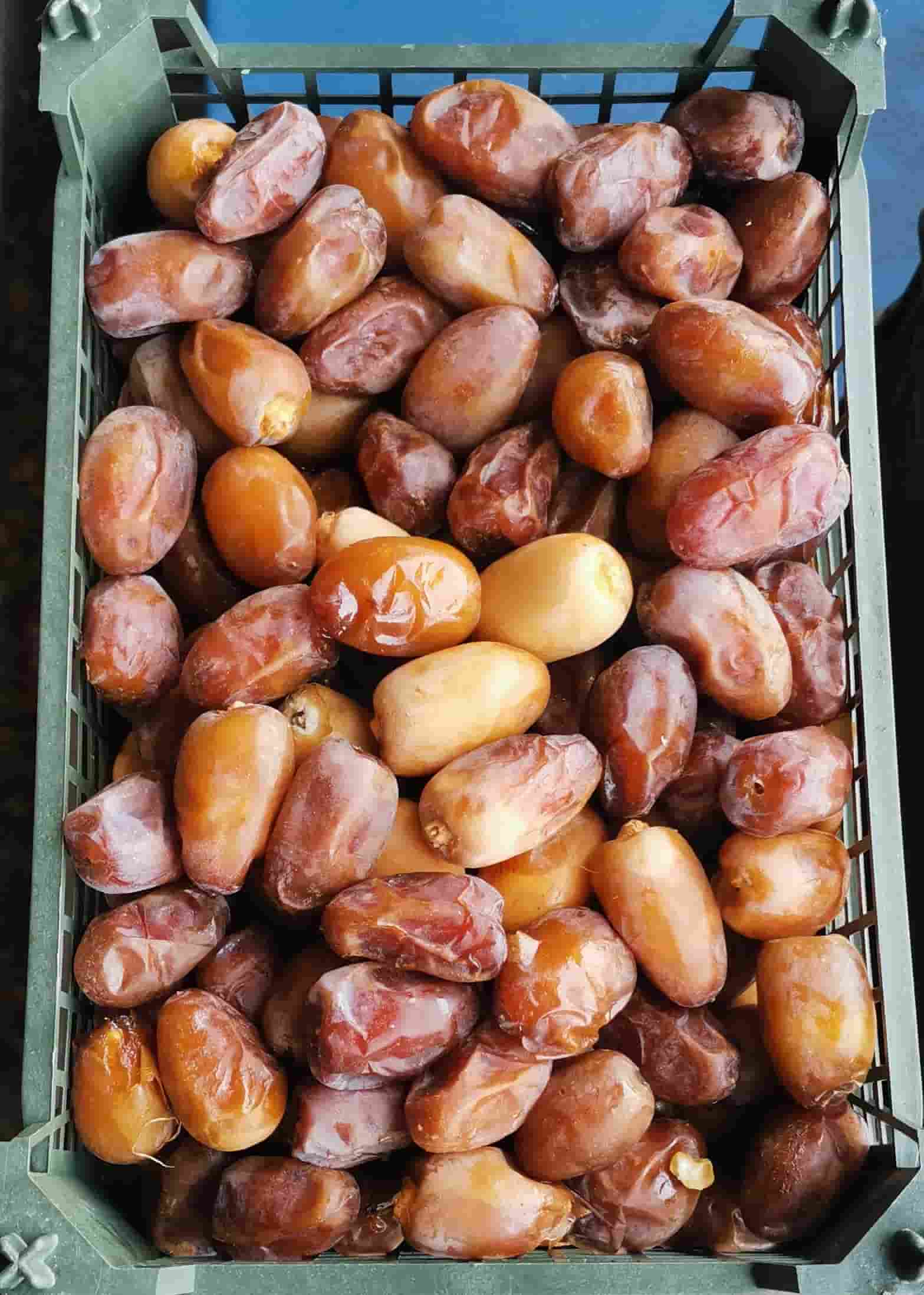 خرید و قیمت خرما عسلی سبدی + قیمت رقابتی