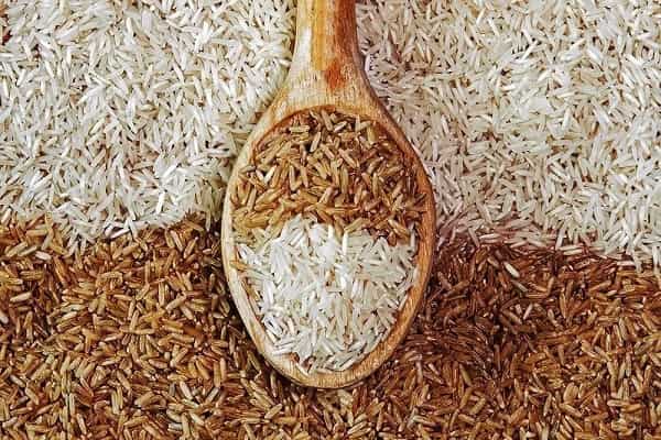 خرید و قیمت برنج سبوس دار کامفیروز + قیمت مناسب
