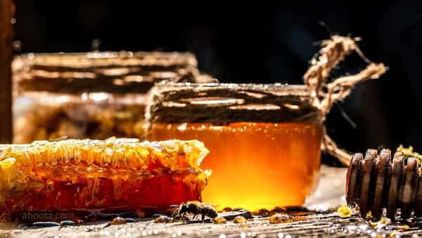 خرید عسل سیاه دانه با تضمین کیفیت و قیمت