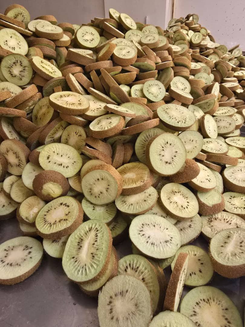 خرید عمده کیوی خشک پفکی + ارسال رایگان