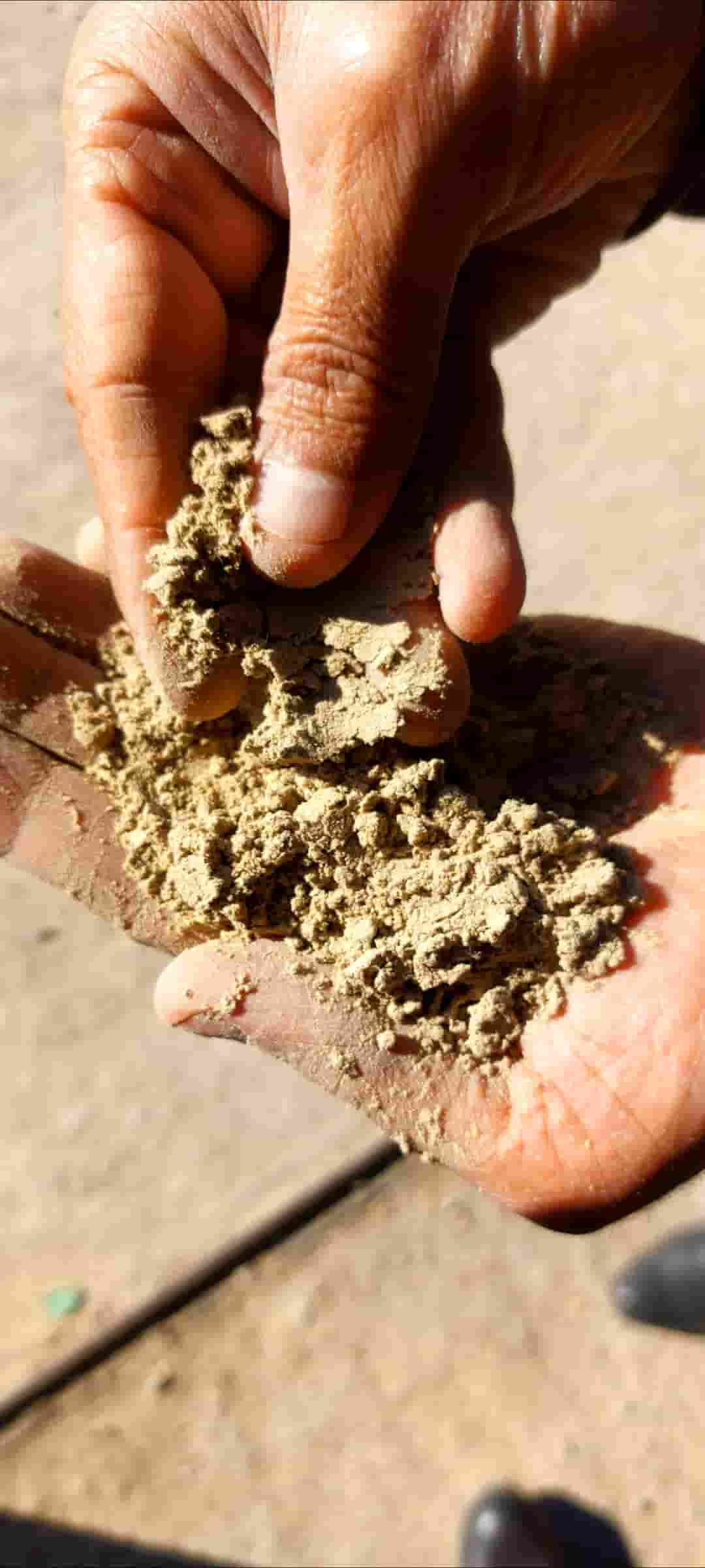 آردک سبوس برنج عنبر بو