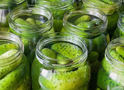 عرضه خیارشور شیروان با قیمت نهایی
