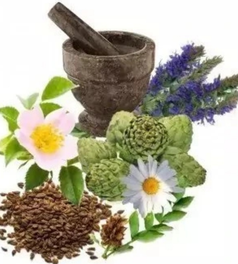 فروش صادراتی عرق معجون معده و گوارش